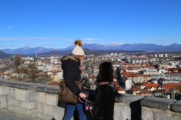 Ljubljana Slovenya Avrupa Manzarası — Stok fotoğraf