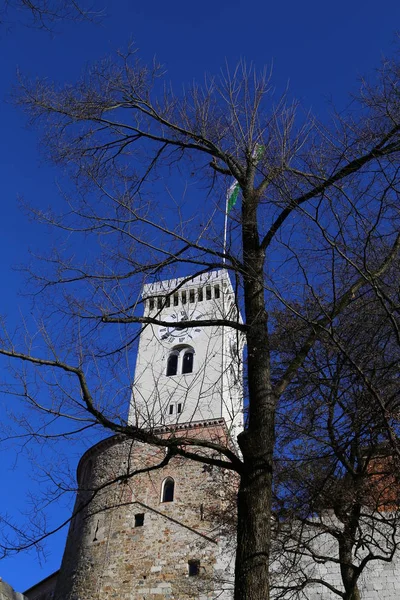 Udsigt Gaden Ljubljana Juletid - Stock-foto