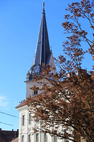 Noel zamanı Ljubljana caddesi manzarası