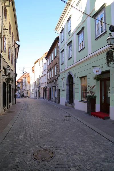 Uitzicht Straat Van Ljubljana Kersttijd — Stockfoto