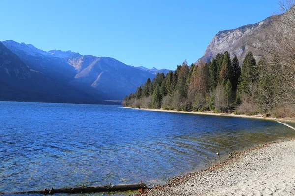 Bohinj Lake Slovenia — Stock Photo, Image