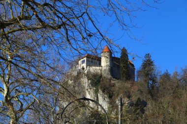 Slovenya 'da göl kanadı