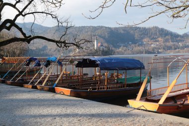  Lake Bled geleneksel ahşap tekneler