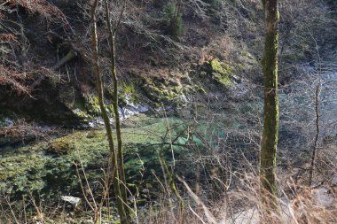 vintgar gorge Slovenya