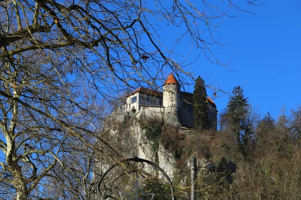 Slovenya Göl Kanadı — Stok fotoğraf