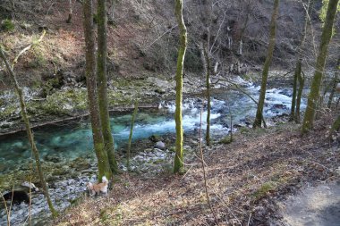 vintgar gorge Slovenya
