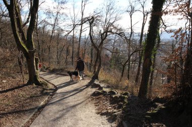 Slovenya 'nın güzel başkenti Ljubljana