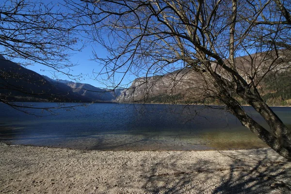 Бохинское Озеро Словении — стоковое фото