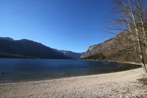 Бохинское Озеро Словении — стоковое фото
