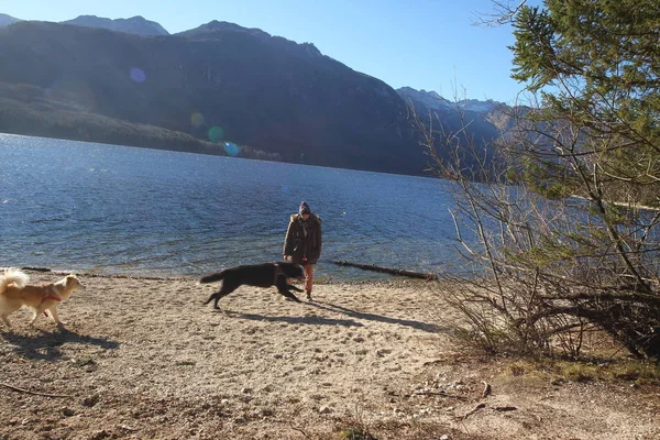 Lago Bohinj Eslovenia — Foto de Stock