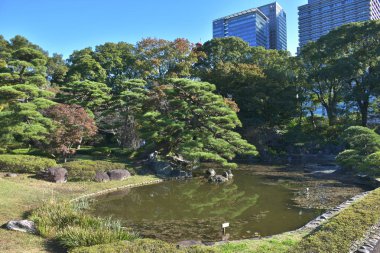 Shinjuku Central Park, Tokyo manzarası