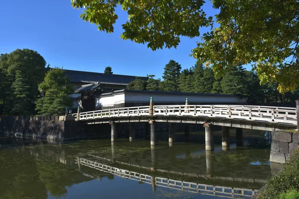Shinjuku Central Park, Tokyo manzarası