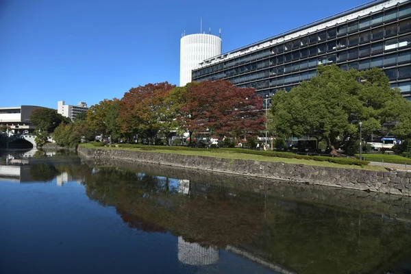 View Shinjuku Central Park Tokyo — 스톡 사진