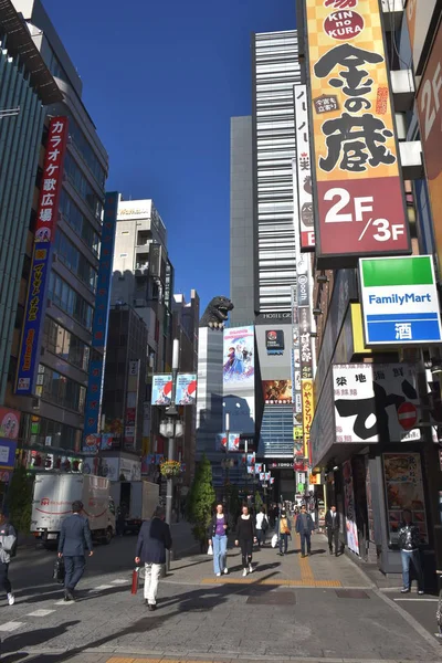 Kabukicho Bölgesindeki Cadde Manzarası — Stok fotoğraf
