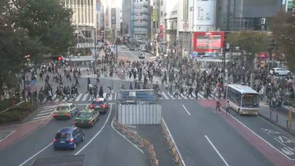 Tokyo Nun Japonya Daki Manzarası — Stok video