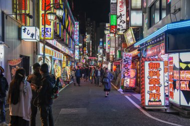 view of the street in Kabukicho district, Tokyo