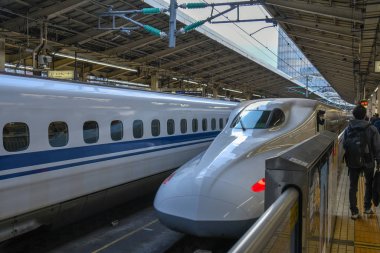 Tokyo merkez istasyonundaki yolcu 