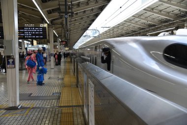 Tokyo merkez istasyonundaki yolcu 