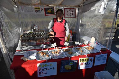 Japanese woman in typical clothes cooking dinner