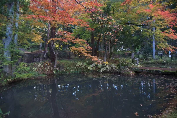 Beautiful autumn scene in Takayama, Japan