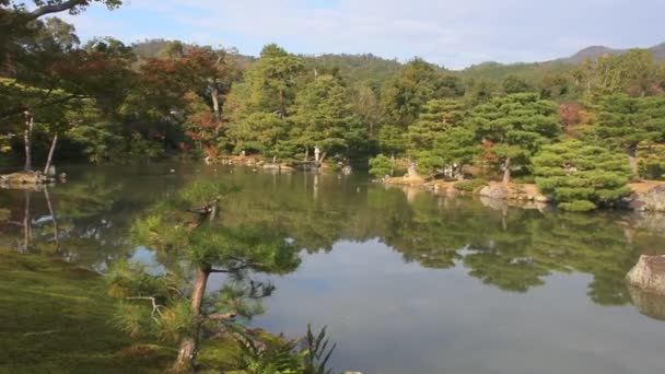 Hermosa Vista Del Templo Kinkakuji Japón — Vídeo de stock