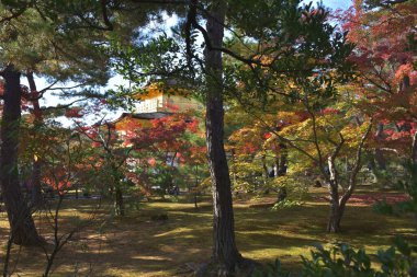 Beautiful view of Kinkakuji temple, Japan 