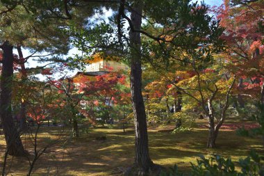 Beautiful view of Kinkakuji temple, Japan  clipart
