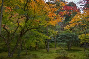 Japonya 'nın Kyoto kentindeki ünlü Gümüş Köşkü (Ginkaku-ji) çevresindeki güzel bahçe.