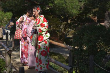 İnsanlar Ginkakuji tapınağının güzel bahçesini ziyaret ediyor.