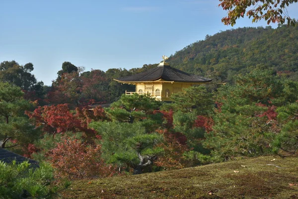 Hermosa Vista Del Templo Kinkakuji Japón — Foto de Stock