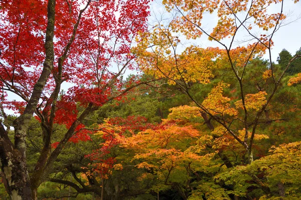 Όμορφος Κήπος Γύρω Από Διάσημο Silver Pavilion Ginkaku Στο Κιότο — Φωτογραφία Αρχείου