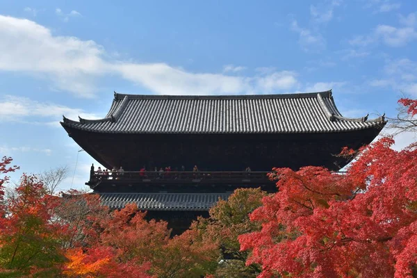 Beautiful Garden Scenery Spectacular Multicolored Maple Trees Nanzen — Stock Photo, Image