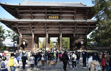 view of Nara Todai ji temple
