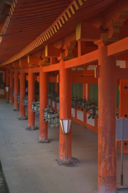 view of Kasuga grand Shrine