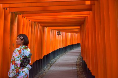view of Torii gates in Fushimi Inari Shrine