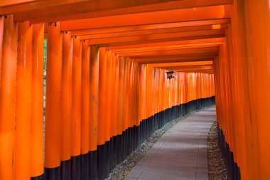 view of Torii gates in Fushimi Inari Shrine