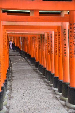view of Torii gates in Fushimi Inari Shrine