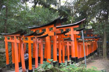 view of Torii gates in Fushimi Inari Shrine