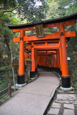 view of Torii gates in Fushimi Inari Shrine