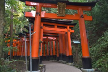 view of Torii gates in Fushimi Inari Shrine
