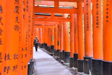 view of Torii gates in Fushimi Inari Shrine