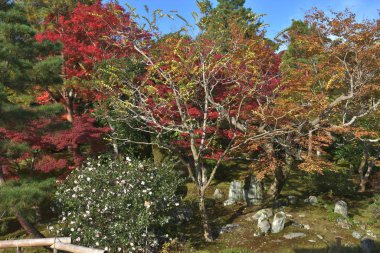 Sogen gölet Bahçe Tenryu ji Kyoto, Japonya