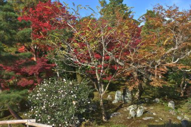 Sogen pond garden of Tenryu ji in Kyoto, Japan clipart