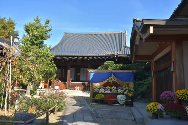 東大寺庭園の紅葉 — ストック写真