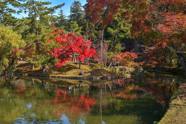 Autumn Colors Garden Todai Temple — Stock Photo, Image