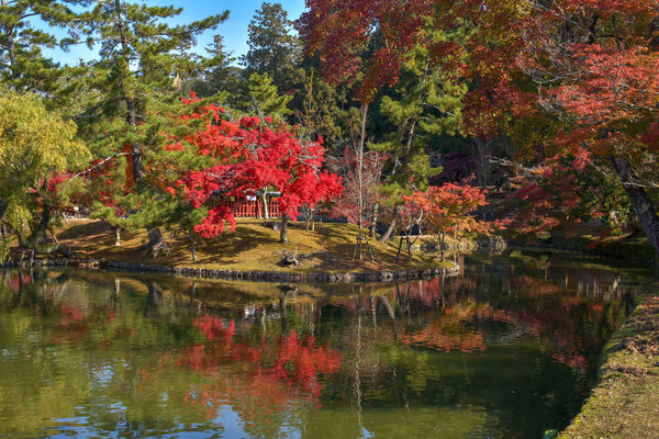 Autumn colors in garden of Todai-ji Temple