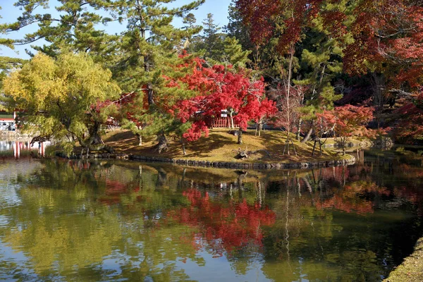 Herfst Kleuren Tuin Van Todai Tempel — Stockfoto