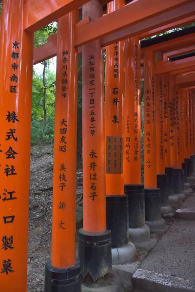 Kilátás Torii Kapuk Fushimi Inari Szentély — Stock Fotó