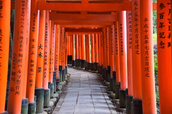 Piękny Widok Świątynię Fushimi Inari — Zdjęcie stockowe