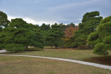 view of Ninomaru Garden in grounds of Nijo Castle 